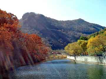 新澳天天开奖资料大全旅游团，都市天龙 一米水田